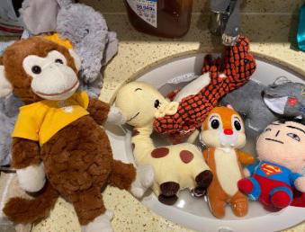 一文看懂:狗狗皮肤病必备良药清单