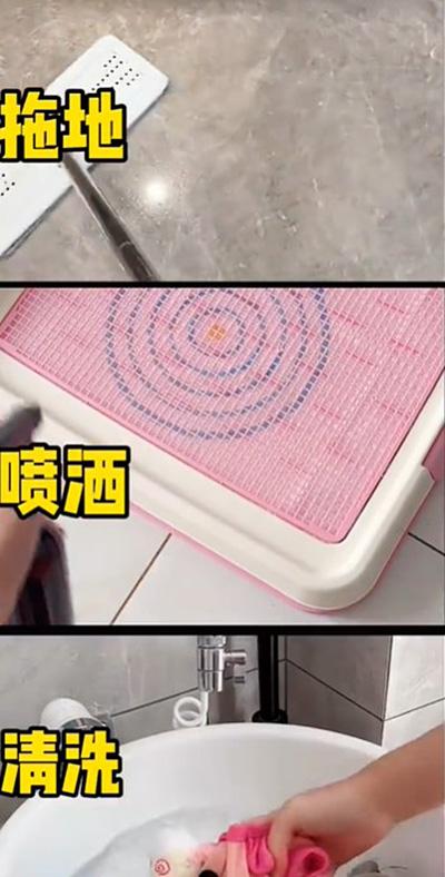 狗狗长癣不再愁!一文教你选对药