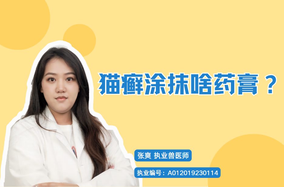 便宜好用的猫癣药膏推荐与正确用法指南