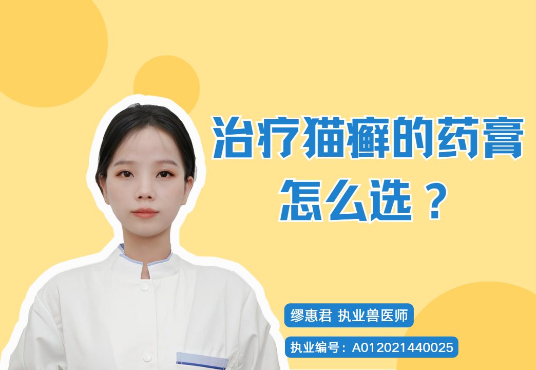 猫咪感染猫癣怎么办？常用药膏推荐与正确使用要点：成分选择、护理及复发预防，新手宠主也能轻松应对