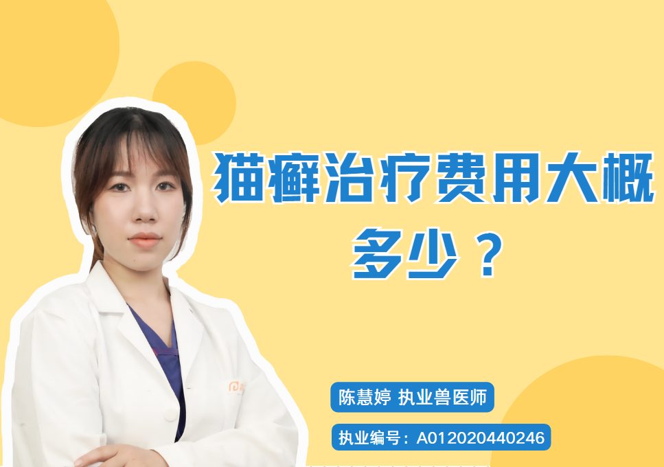 猫癣治疗要花多少钱？医院收费与药费详解，200-800元区间及低成本居家用药攻略与就医建议