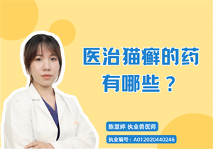 治猫癣的药有哪些?