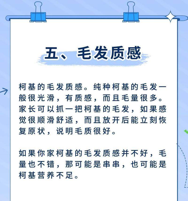 柯基毛什么时候变厚？（探究柯基毛量增加的原因及适当护理方法）