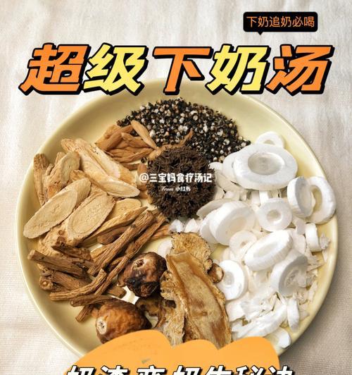 泰迪狗催奶的最佳食物选择（为妈妈宝宝提供营养丰富的泰迪狗催奶饮食）