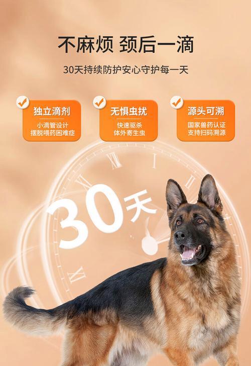 一月龄幼犬的驱虫方法（了解一月龄幼犬的驱虫需求，保护宠物健康成长）