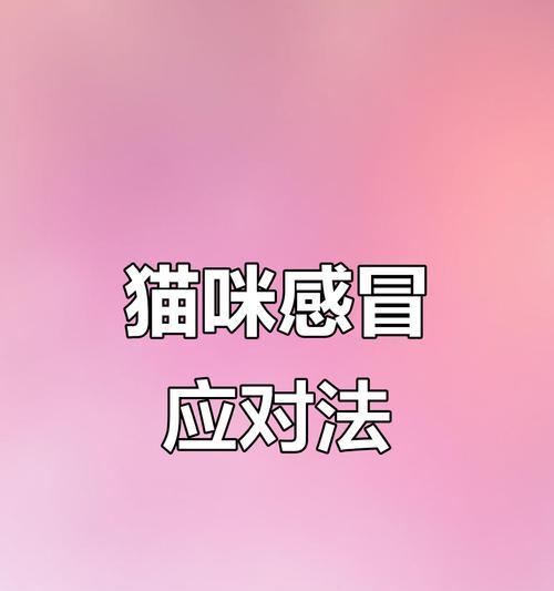 猫感冒康复时间及影响因素全解析