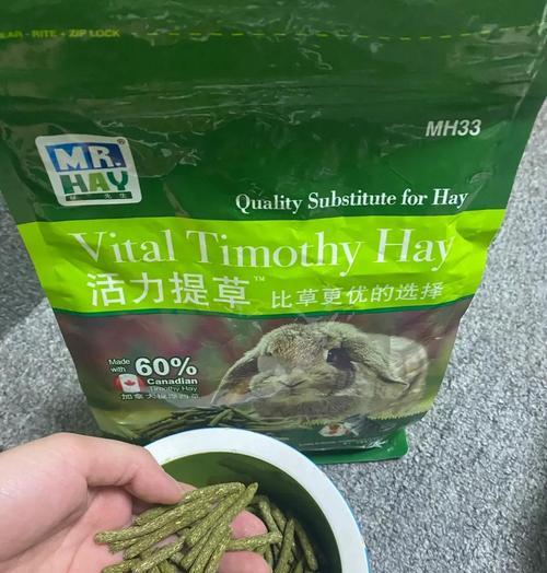 龙猫饲养指南：全面准备与护理技巧