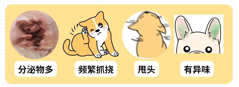 狗狗有耳螨用什么药?