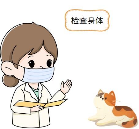 怀孕的猫得了猫鼻支吃什么药?