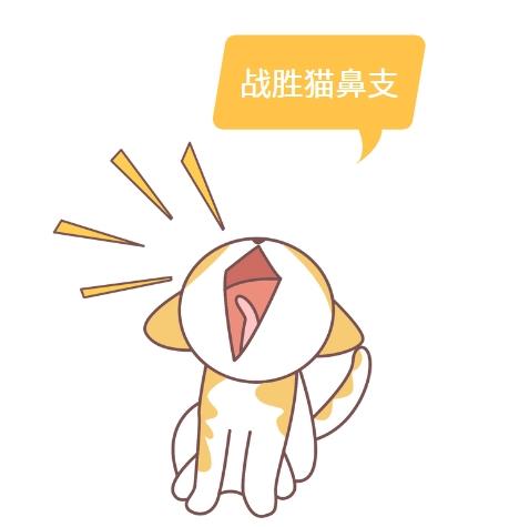 守护爱宠,了解猫咪疱疹病毒症状