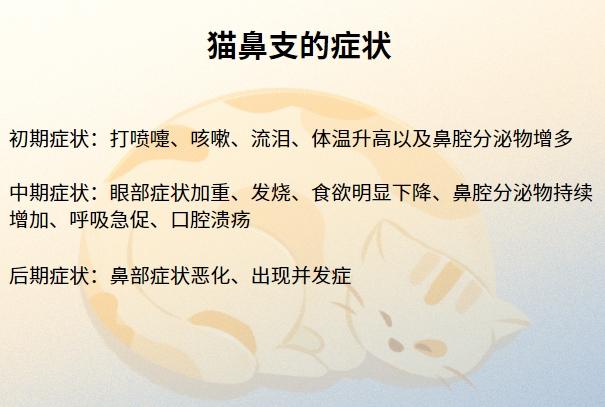 守护爱宠,了解猫咪疱疹病毒症状