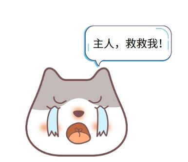 猫疱疹病毒不可怕,关键是要掌握正确的治疗方法!
