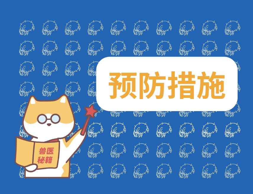 狗狗耳螨怎么治疗彻底?