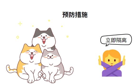 猫鼻支会不会传染给人?