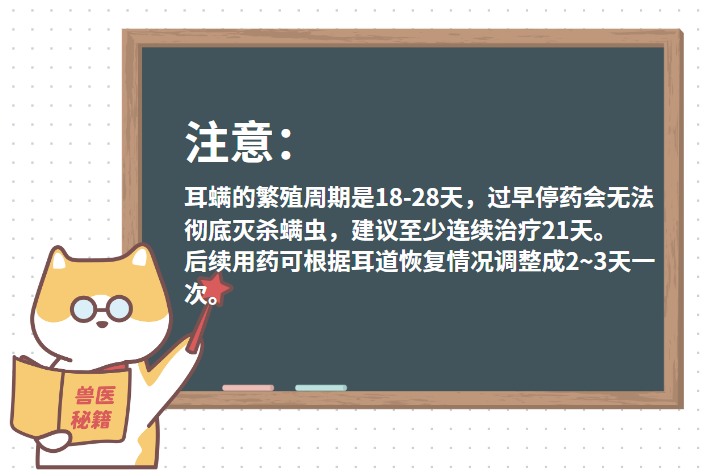 猫耳螨怎么治疗?