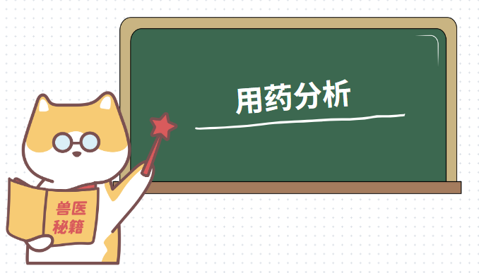 狗狗耳朵发炎用什么药?