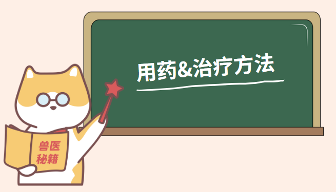 狗狗耳朵痒一直甩头怎么办?