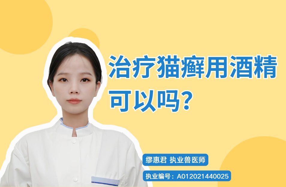治疗猫癣可以用酒精吗?