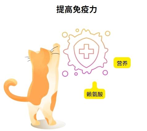 猫咪疱疹病毒怎样才能彻底清除?