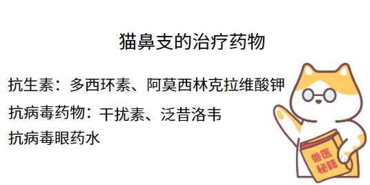猫咪疱疹病毒怎样才能彻底清除?