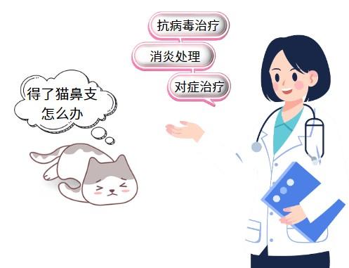 治疗猫鼻支只吃泛昔洛韦效果如何?