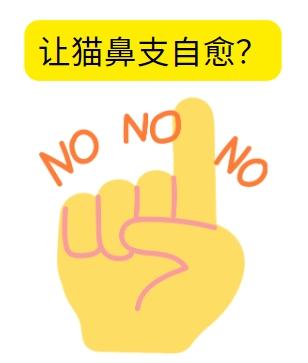 让猫鼻支自愈?别再坐以待毙了!