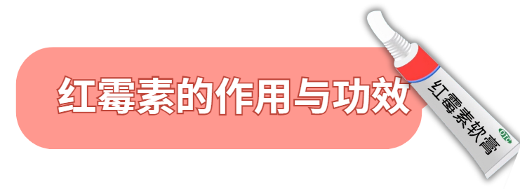 红霉素能治疗狗狗耳炎吗?
