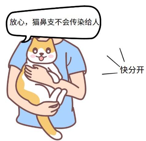 猫疱疹病毒会传染给人吗?