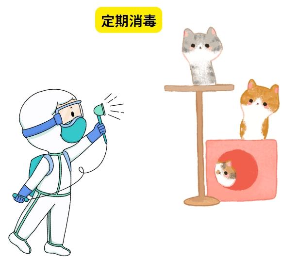 猫鼻支污染地大扫除:彻底消毒指南