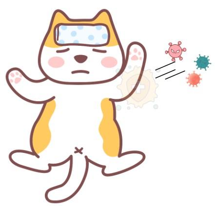 猫鼻支来袭,如何快速识别小猫的异常表现?