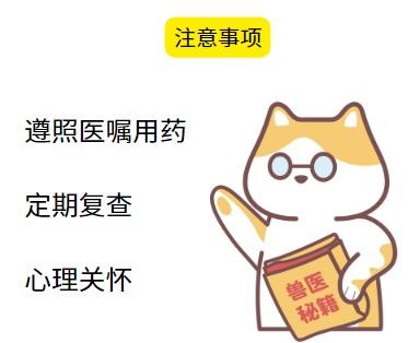 猫鼻支反复发作怎么办?