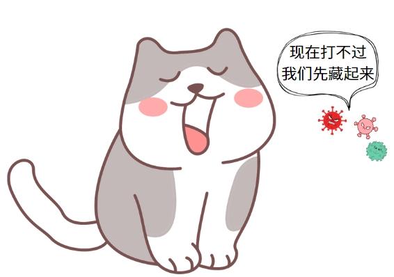 猫鼻支能不能彻底根治?