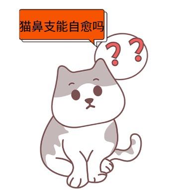 猫鼻支到底有无自愈的可能性?