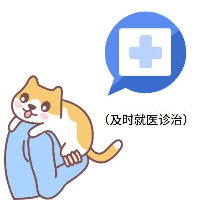 担心猫鼻支的治疗费用太高？一文教你不踩坑！