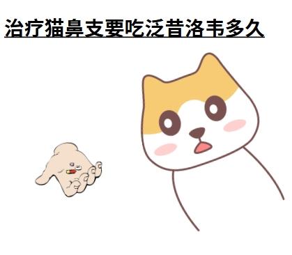 治疗猫鼻支要吃泛昔洛韦多久?