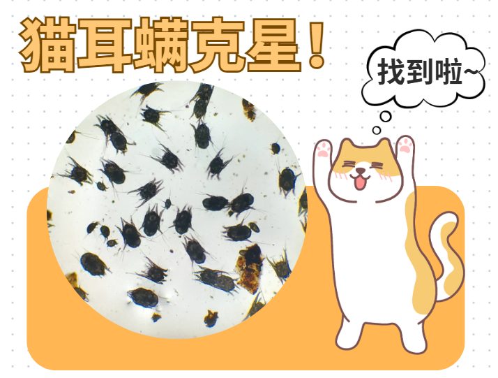 猫耳螨虫用什么药效果好？