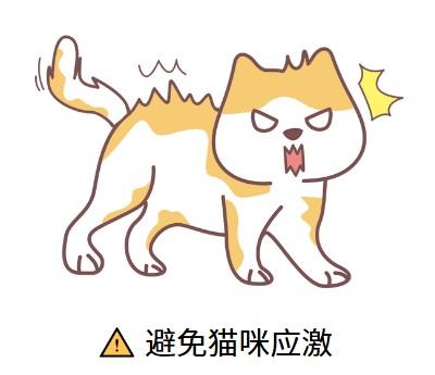 轻松应对猫疱疹病毒,有效治疗方案大公开!