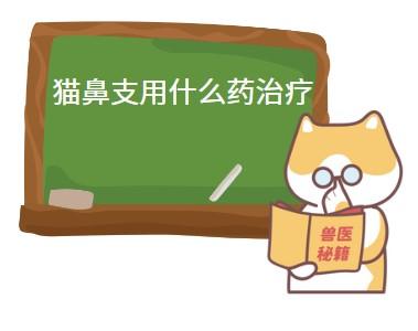 猫鼻支用什么药治疗效果好?