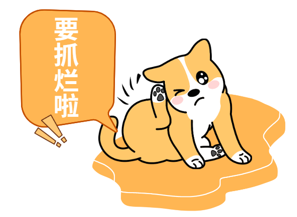 狗狗老是抓头部和耳朵是为什么?