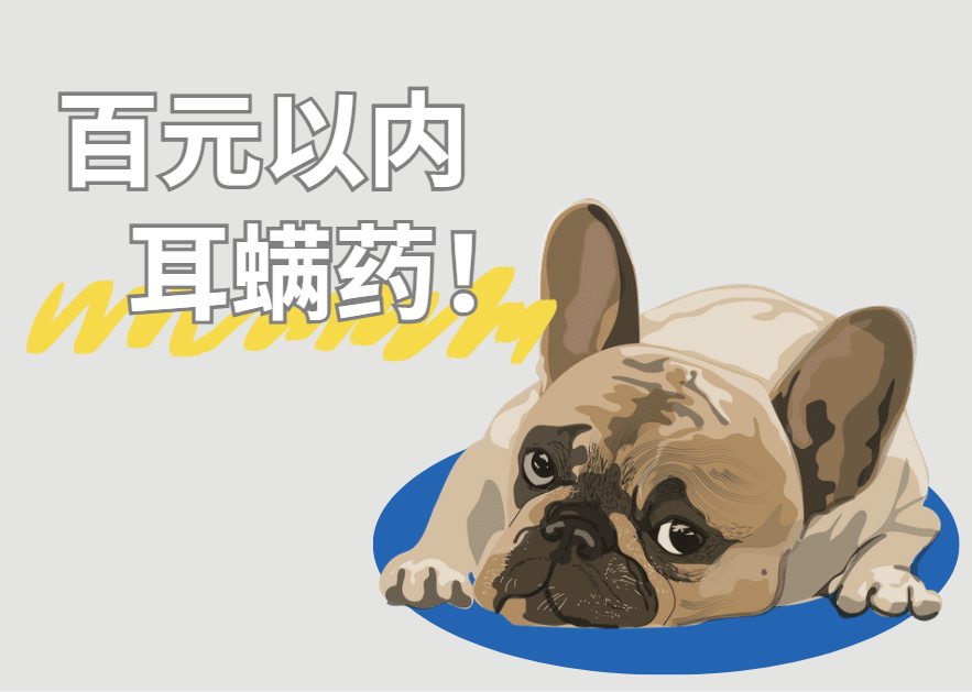 狗狗耳螨用什么药最好?