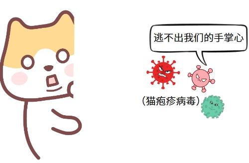 猫鼻支是什么?一文揭秘猫咪常见病!
