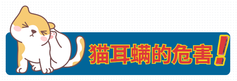 猫咪感染耳螨了怎么办?