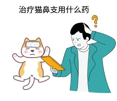 宠物主人必看:猫鼻支用这种人用药真的有效吗?