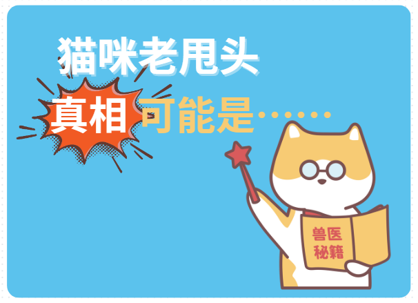 猫咪老甩头是怎么回事?