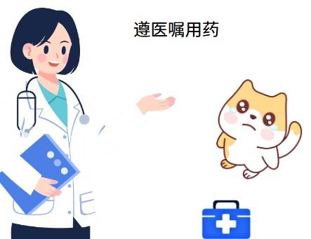 猫鼻支不再怕!特效药助您轻松应对,效果立竿见影!