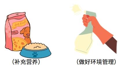 一月大的奶猫得了猫鼻支,如何应对?