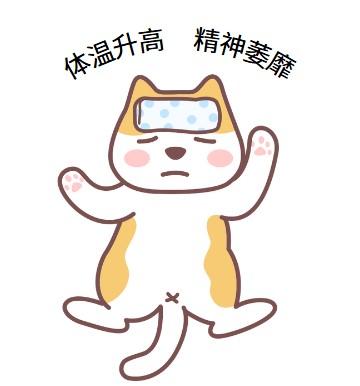 警惕!猫咪出现这些症状可能是猫鼻支