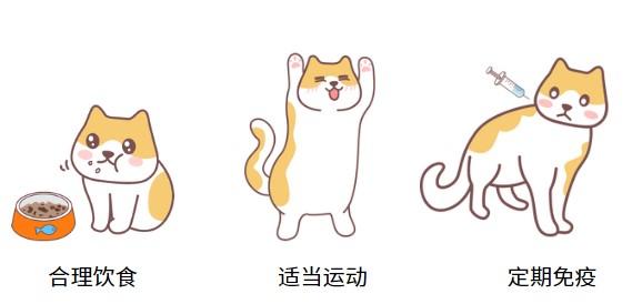 猫咪得猫鼻支是什么原因?