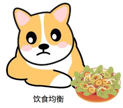 狗狗口腔溃疡吃什么药好得快?