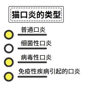 高效治疗猫口炎,这些药物是关键